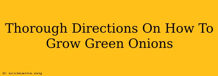 Thorough Directions On How To Grow Green Onions