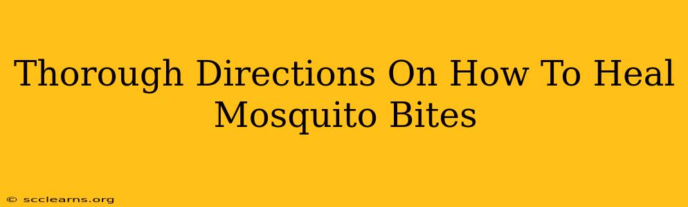 Thorough Directions On How To Heal Mosquito Bites