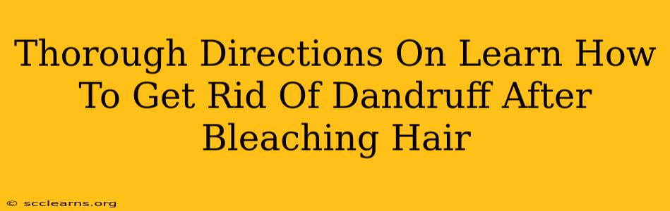 Thorough Directions On Learn How To Get Rid Of Dandruff After Bleaching Hair