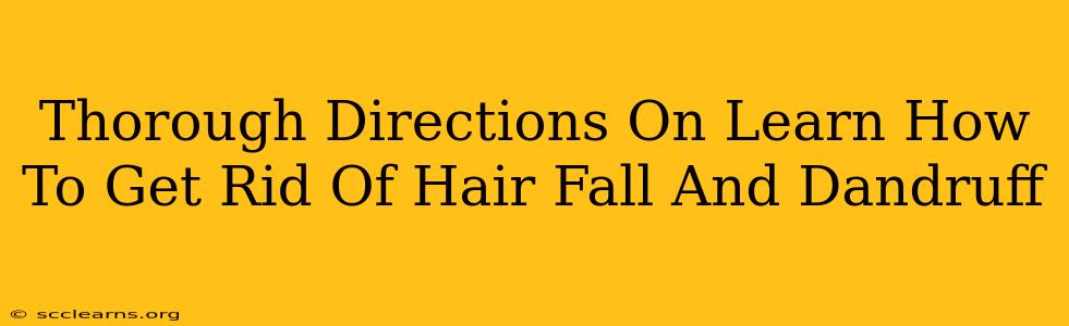 Thorough Directions On Learn How To Get Rid Of Hair Fall And Dandruff