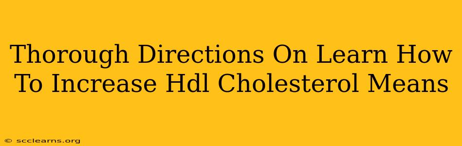 Thorough Directions On Learn How To Increase Hdl Cholesterol Means