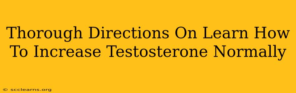 Thorough Directions On Learn How To Increase Testosterone Normally