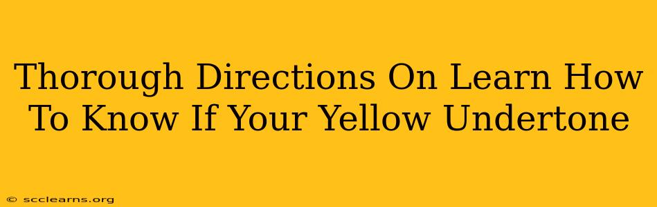 Thorough Directions On Learn How To Know If Your Yellow Undertone