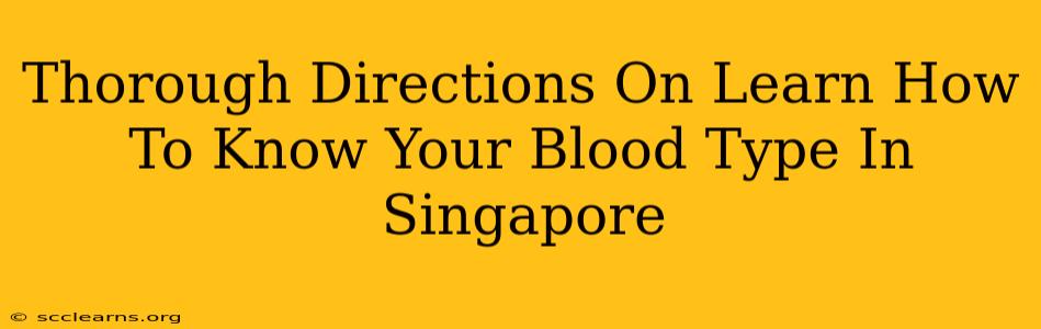 Thorough Directions On Learn How To Know Your Blood Type In Singapore