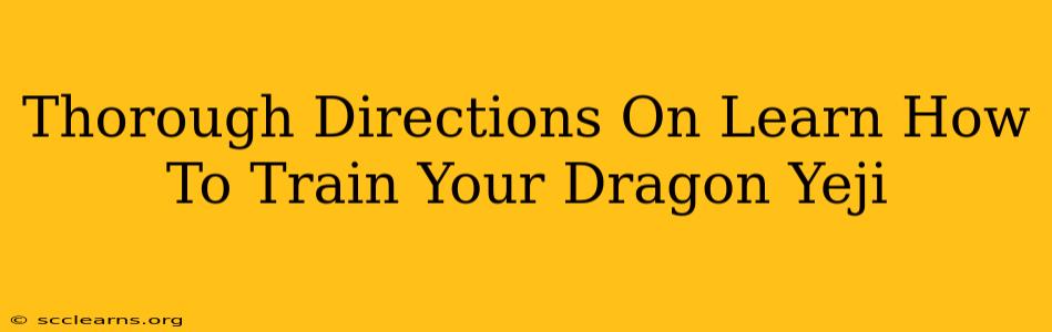 Thorough Directions On Learn How To Train Your Dragon Yeji