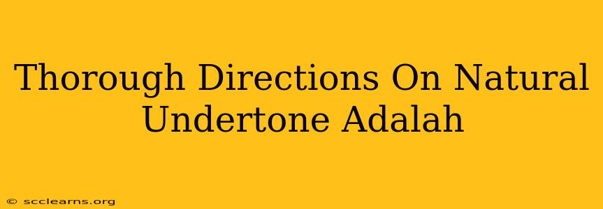 Thorough Directions On Natural Undertone Adalah