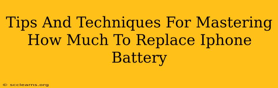 Tips And Techniques For Mastering How Much To Replace Iphone Battery