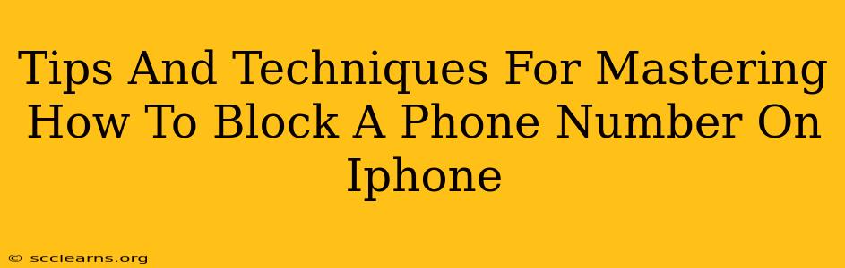 Tips And Techniques For Mastering How To Block A Phone Number On Iphone