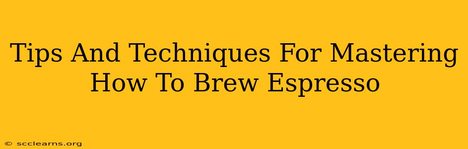 Tips And Techniques For Mastering How To Brew Espresso