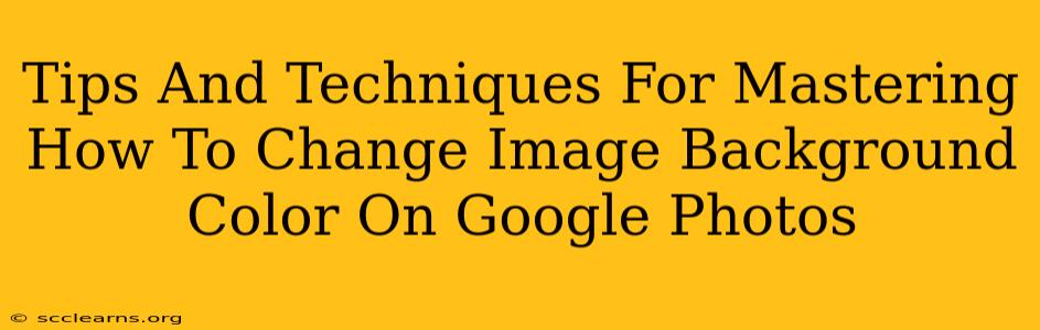 Tips And Techniques For Mastering How To Change Image Background Color On Google Photos