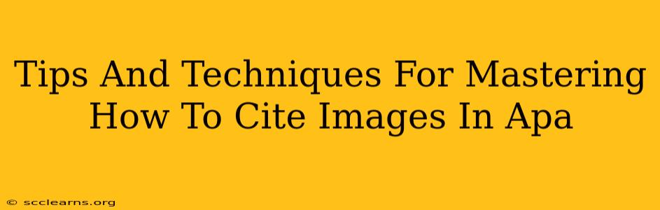 Tips And Techniques For Mastering How To Cite Images In Apa