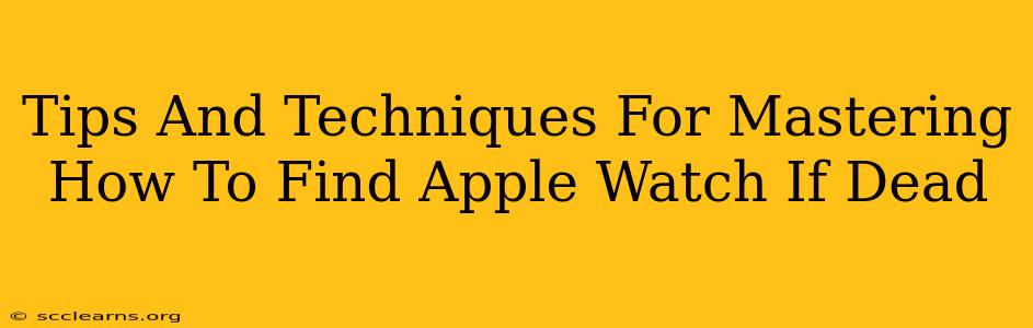 Tips And Techniques For Mastering How To Find Apple Watch If Dead