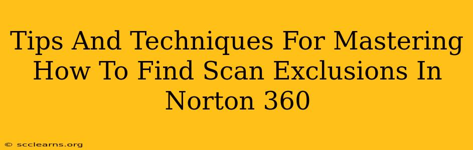 Tips And Techniques For Mastering How To Find Scan Exclusions In Norton 360