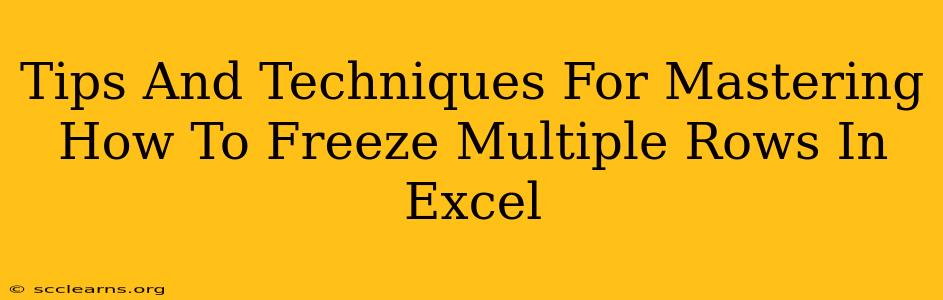 Tips And Techniques For Mastering How To Freeze Multiple Rows In Excel