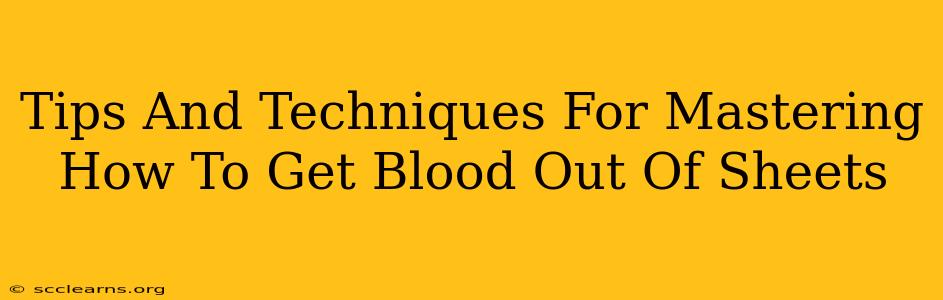 Tips And Techniques For Mastering How To Get Blood Out Of Sheets