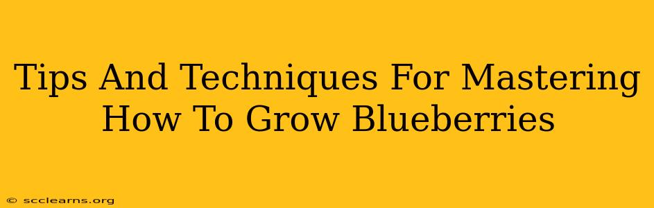 Tips And Techniques For Mastering How To Grow Blueberries