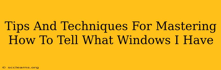 Tips And Techniques For Mastering How To Tell What Windows I Have