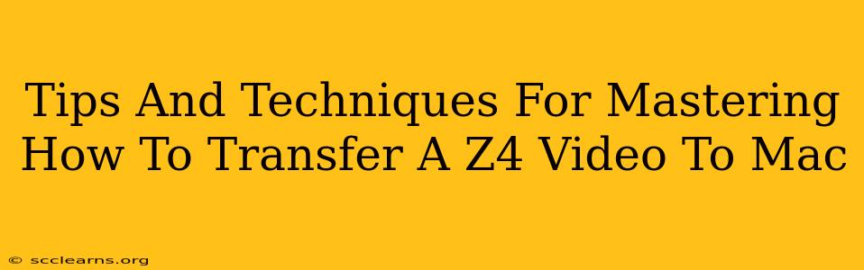 Tips And Techniques For Mastering How To Transfer A Z4 Video To Mac