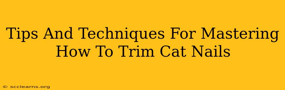 Tips And Techniques For Mastering How To Trim Cat Nails