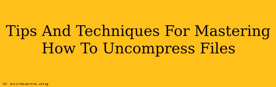 Tips And Techniques For Mastering How To Uncompress Files