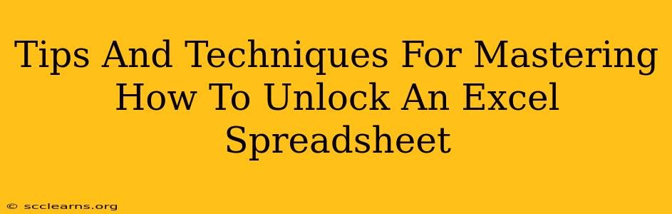 Tips And Techniques For Mastering How To Unlock An Excel Spreadsheet