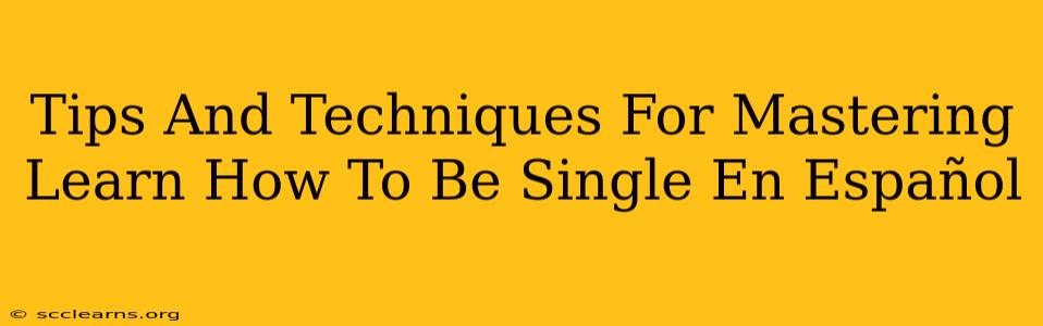 Tips And Techniques For Mastering Learn How To Be Single En Español