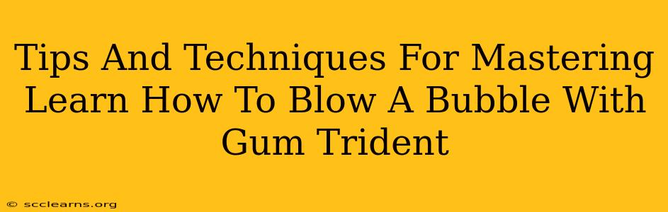 Tips And Techniques For Mastering Learn How To Blow A Bubble With Gum Trident