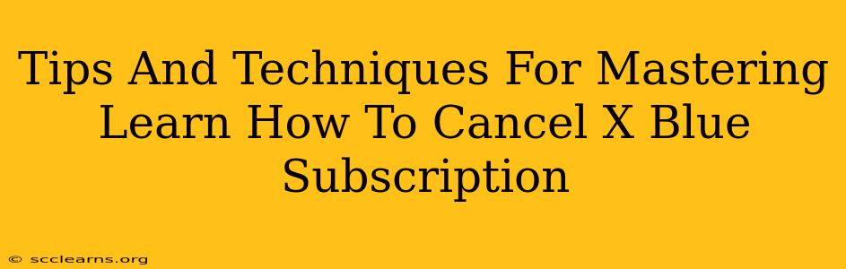 Tips And Techniques For Mastering Learn How To Cancel X Blue Subscription