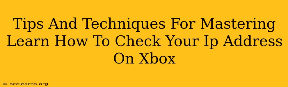 Tips And Techniques For Mastering Learn How To Check Your Ip Address On Xbox