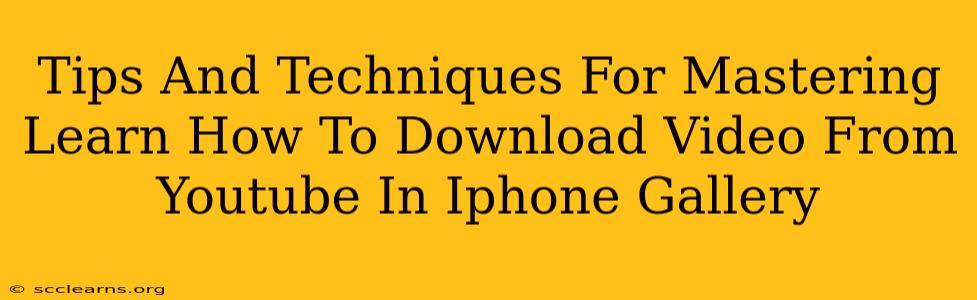 Tips And Techniques For Mastering Learn How To Download Video From Youtube In Iphone Gallery
