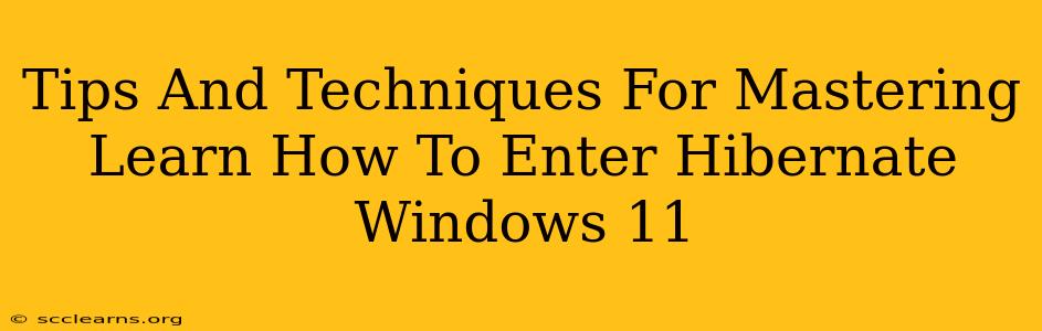 Tips And Techniques For Mastering Learn How To Enter Hibernate Windows 11