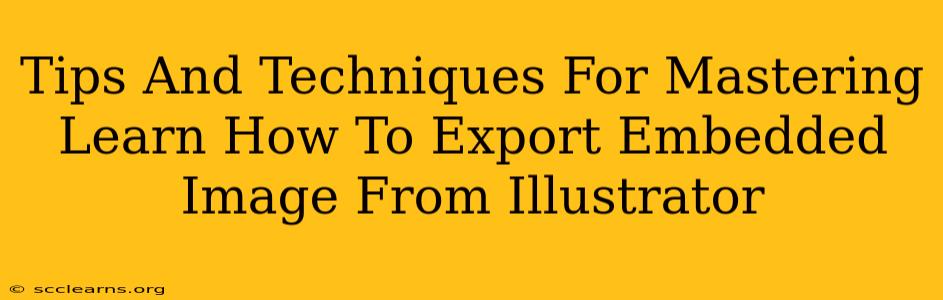 Tips And Techniques For Mastering Learn How To Export Embedded Image From Illustrator