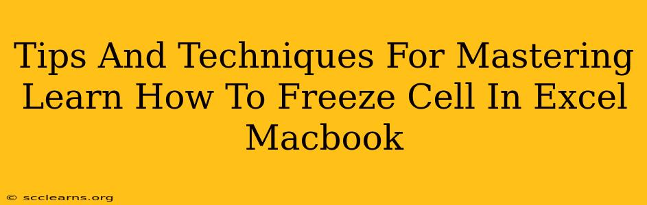 Tips And Techniques For Mastering Learn How To Freeze Cell In Excel Macbook