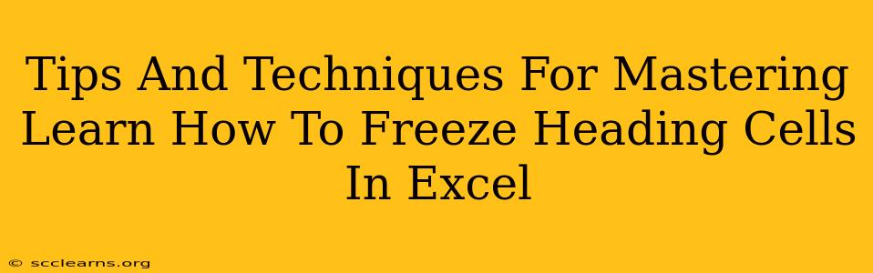 Tips And Techniques For Mastering Learn How To Freeze Heading Cells In Excel