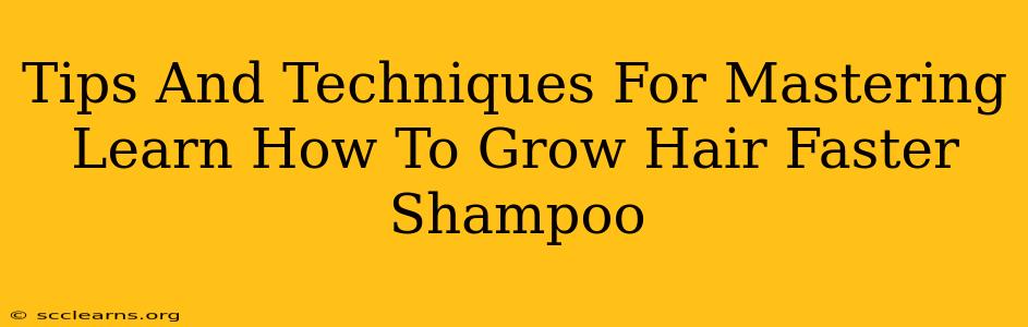 Tips And Techniques For Mastering Learn How To Grow Hair Faster Shampoo