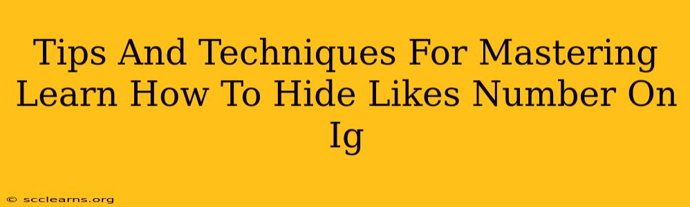 Tips And Techniques For Mastering Learn How To Hide Likes Number On Ig