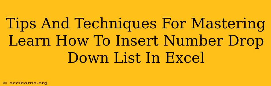 Tips And Techniques For Mastering Learn How To Insert Number Drop Down List In Excel