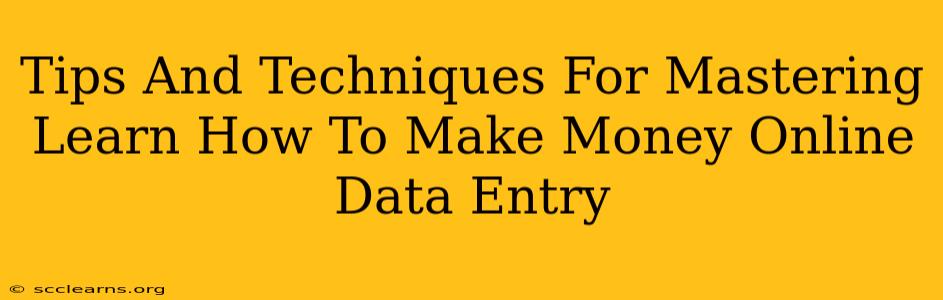 Tips And Techniques For Mastering Learn How To Make Money Online Data Entry