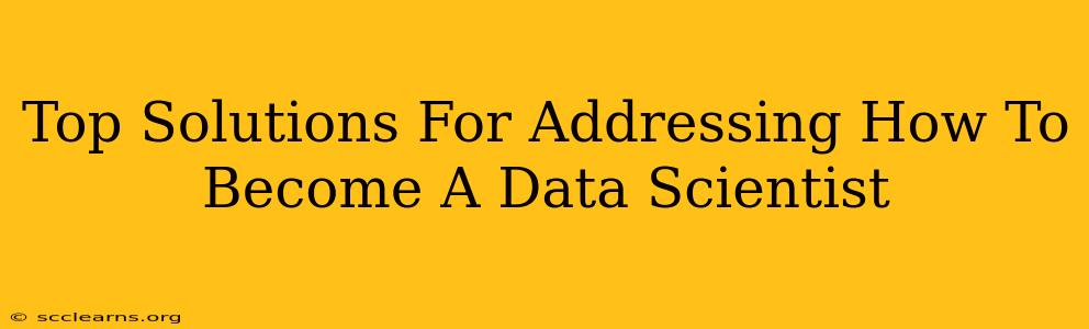 Top Solutions For Addressing How To Become A Data Scientist