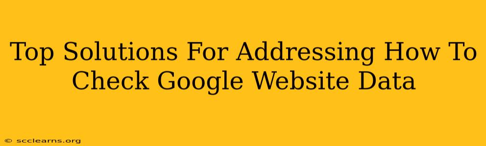 Top Solutions For Addressing How To Check Google Website Data