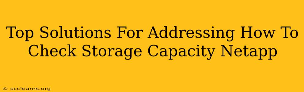 Top Solutions For Addressing How To Check Storage Capacity Netapp