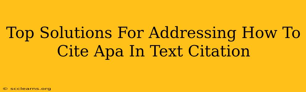 Top Solutions For Addressing How To Cite Apa In Text Citation