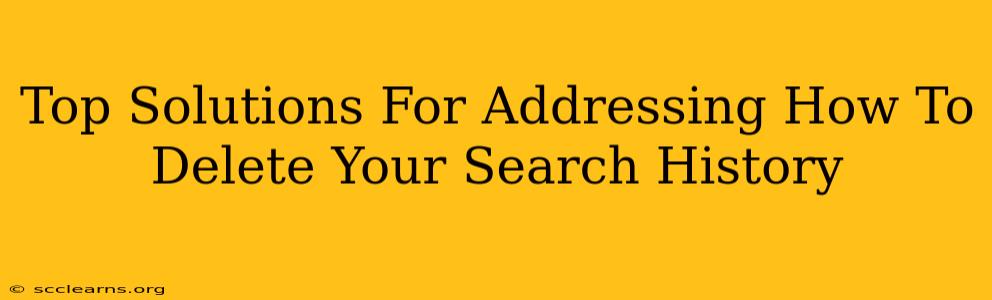 Top Solutions For Addressing How To Delete Your Search History