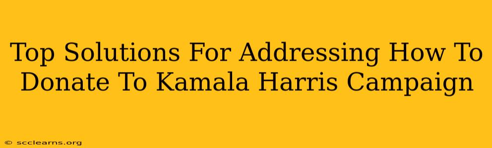 Top Solutions For Addressing How To Donate To Kamala Harris Campaign