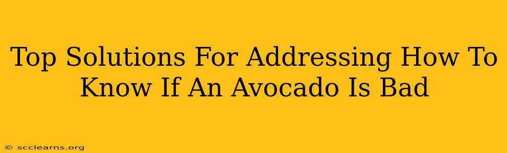 Top Solutions For Addressing How To Know If An Avocado Is Bad