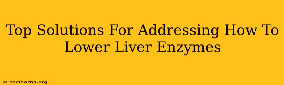 Top Solutions For Addressing How To Lower Liver Enzymes