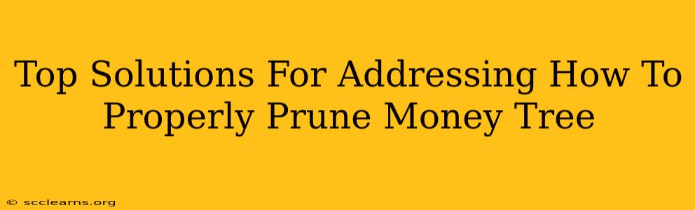 Top Solutions For Addressing How To Properly Prune Money Tree