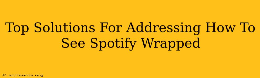 Top Solutions For Addressing How To See Spotify Wrapped