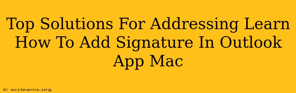 Top Solutions For Addressing Learn How To Add Signature In Outlook App Mac