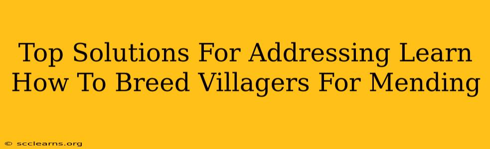 Top Solutions For Addressing Learn How To Breed Villagers For Mending